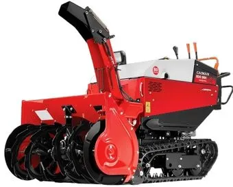 Caiman Edo 36H