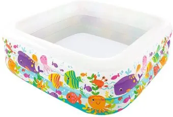 Intex Sea Aquarium 57471 (159х50)