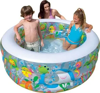 Intex Aquarium 152х56 (58480)
