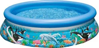 Intex Easy Set 366x76 (54904/28134)