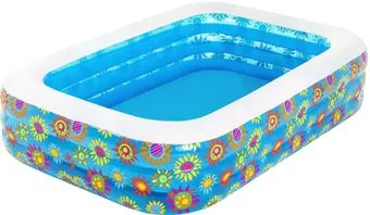 Bestway 54120 (229x152x56)