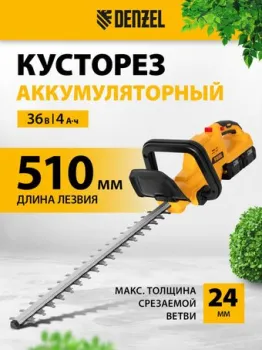 Denzel RBC510-36 59410 (с 2-мя АКБ)