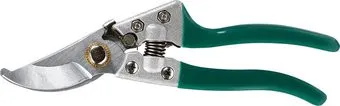 GreenGo 3809461