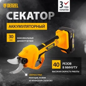 Denzel CP-30 (с 1-им АКБ)