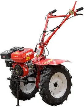 Asilak SL-87-5012