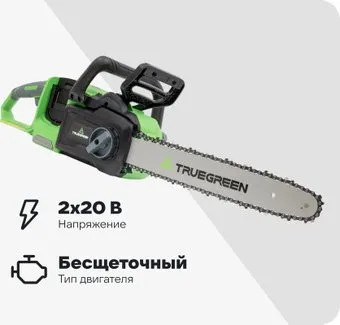 Truegreen TG8J173 (без АКБ)