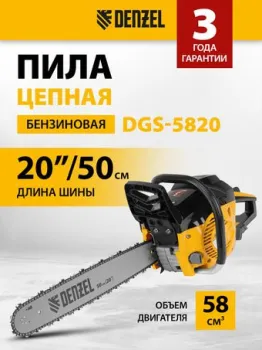 Denzel DGS-5820