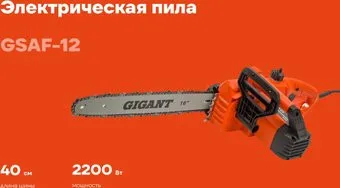Gigant GSAF-12