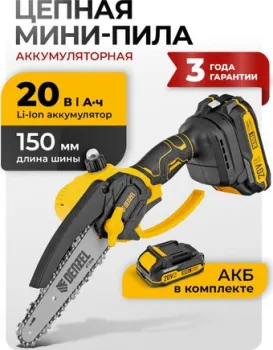Denzel CCS-150 (с 1-им АКБ, кейс)