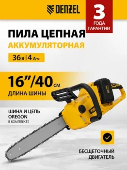 Denzel RCS400-36 (с 2-мя АКБ)