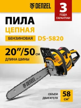 Denzel DS-5820