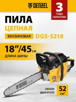 Denzel DGS-5218