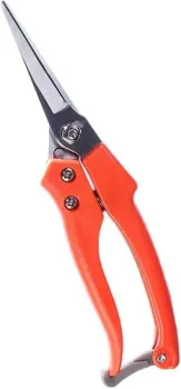 Bradas KT-V3P