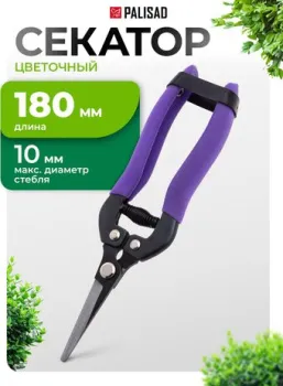Palisad 60554