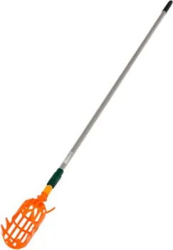 GreenGo 3036167