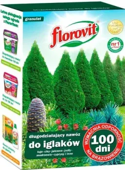 Florovit Для хвойных 100 дней (1 кг, коробка)