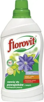 Florovit Для клематисов и других цветущих растений (1 кг)