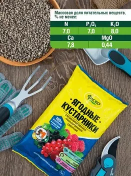 Фаско Для ягодных кустарников гранулированное (1 кг)