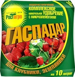 Торговый дом Рост Агро Гаспадар для клубники и земляники 25 г