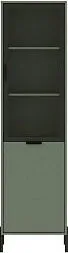 Black Red White Paloma REG1W1D (дымчатый зеленый)