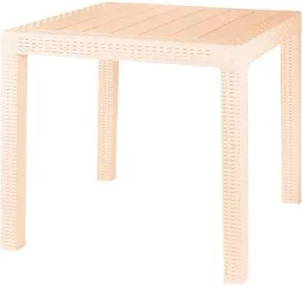 Plast Team Rattan ING6183СЛВ