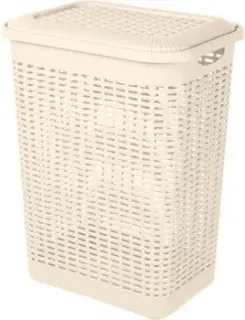 Econova 431293407