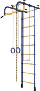 Пионер 1