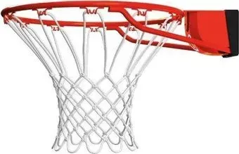 Proxima Spalding Pro Slam Rim 7888SPCN