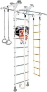 Midzumi Niji Ton Basketball Shield (снежный барс)