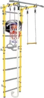 Midzumi Hoshi Kabe Basketball Shield (лимонный пай)