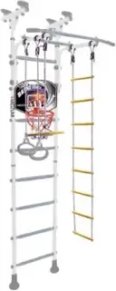 Midzumi Banji Basketball Shield (снежный барс)