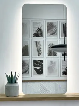 EMZE Smartphone 50x100 LED.SMART.50.100.4K (с подсветкой)