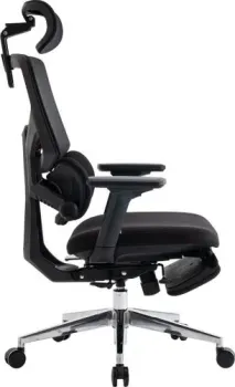 Evolution LumbarPro FR AL (черный)