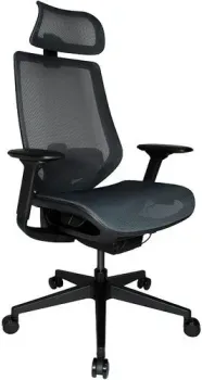 ErgoSmart Sparta 3 Mesh (черный)