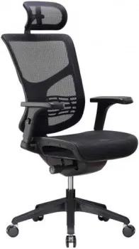 Ergostyle Vista VSM01 (черный)