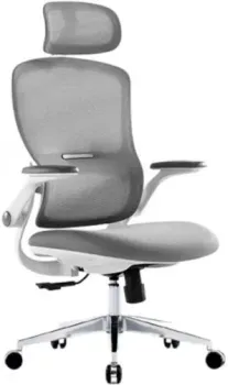 SitUp Sity White Chrome (сетка Grey/Grey)