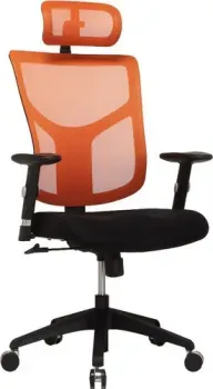 Ergostyle Star-E