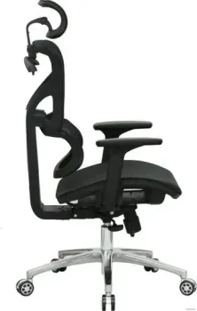 Evolution ERGO Mesh (черный)
