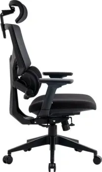 Evolution LumbarPro (черный)
