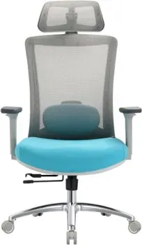 Evolution ERGO Prime Sky Blue (серый/бирюзовый)