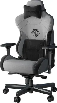 AndaSeat T-Pro 2 (серый/черный)