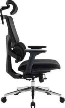 Evolution LumbarPro AL (черный)
