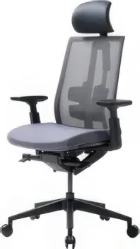 Duorest D3-HS 3KGY1 3WGY1 (серый)