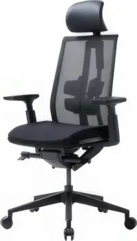 Duorest D3-HS 3KBK1 3WBK1 (черный)