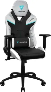 ThunderX3 TC5 Arctic White (черный/белый)