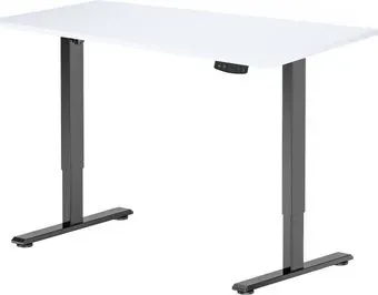 ErgoSmart Electric Desk Light 1200х650х25 мм (альпийский белый/черный)