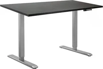 ErgoSmart Manual DESKFIT DF100 1200х650х25 мм (дуб мореный/серый)