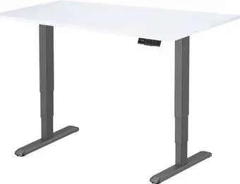 ErgoSmart Unique Ergo Desk 1200x650x25 мм (альпийский белый/черный)