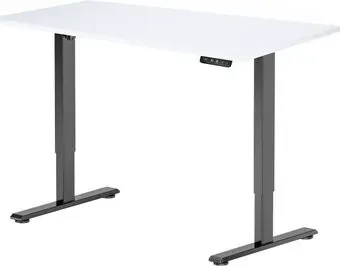ErgoSmart Electric Desk Prime 1200х650х25 мм (альпийский белый/черный)