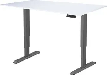 ErgoSmart Unique Ergo Desk 1200x650x18 мм (альпийский белый/черный)